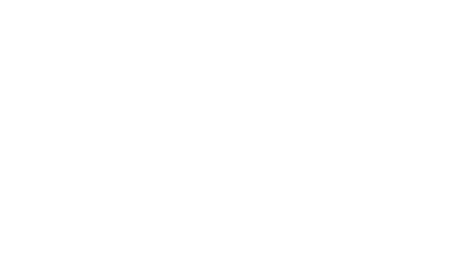 Nora Petri Logo